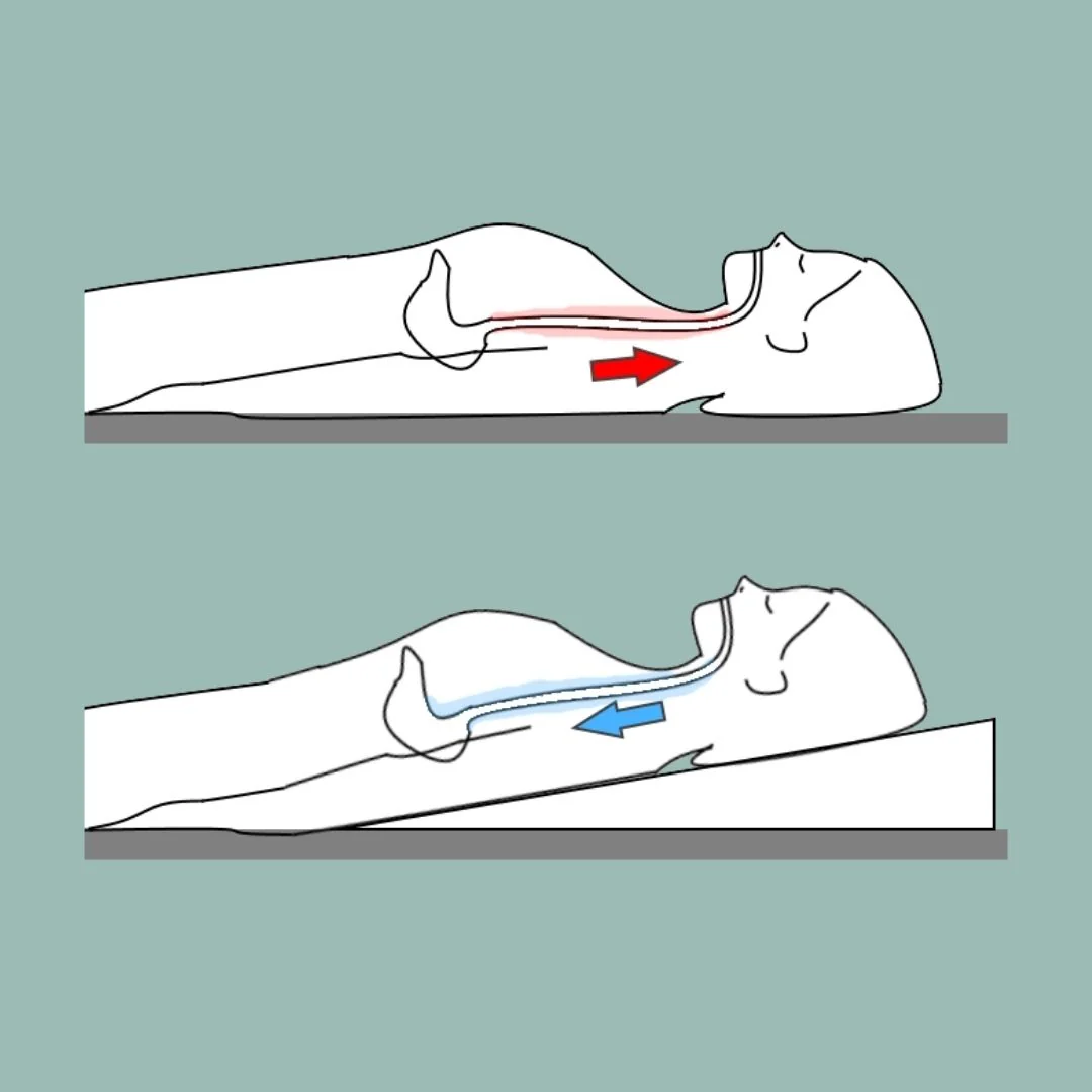 Latex Bed Wedge - Acid Reflux - Image 5